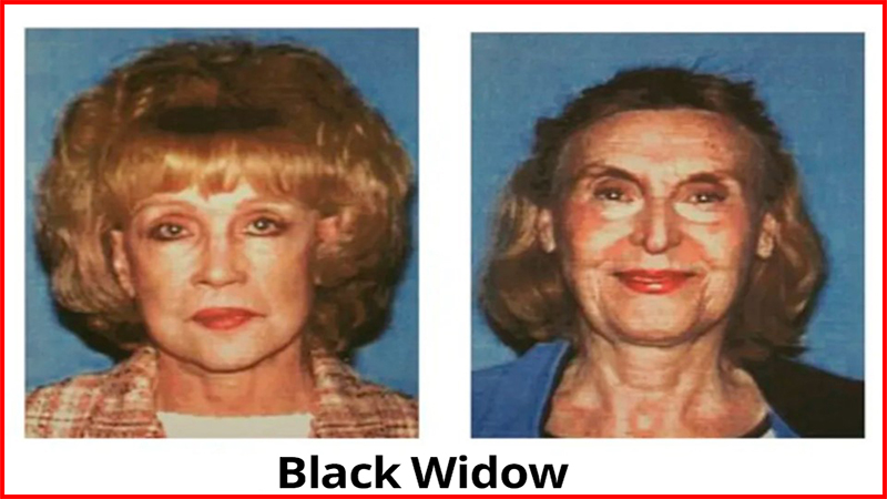 Helen Golay and Olga Rutterschmidt: The Black Widow murders insurance scheme